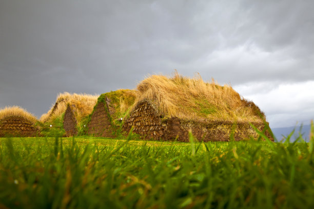 冰岛的草屋顶建筑图片下载