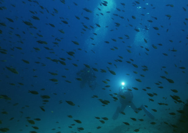 在海里游泳的人图片下载