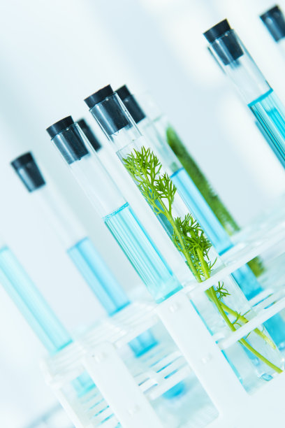 实验室生物学研究图片下载