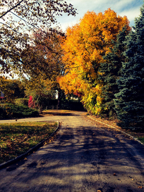 秋天的乡村路图片下载