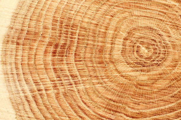 木材纹理图片下载