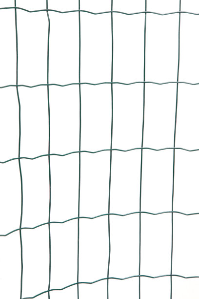 绿色的铁丝网图片下载