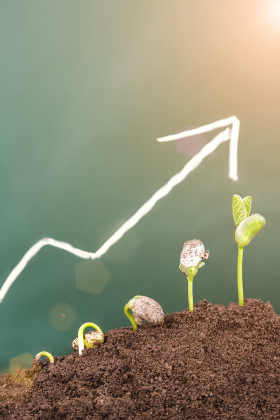 植物生长顺序:春季新生命生长素材图片