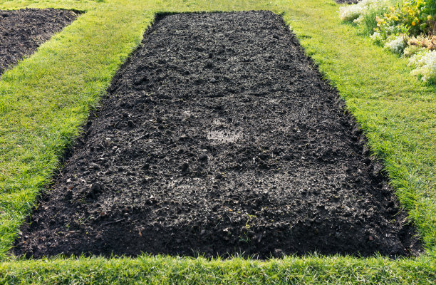 空的花圃图片下载