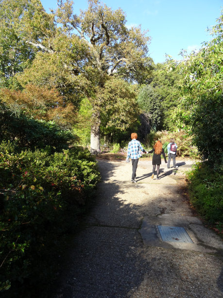 孩子们在小路上奔跑，阳光明媚的林地，斑驳的阴影，小路图片下载