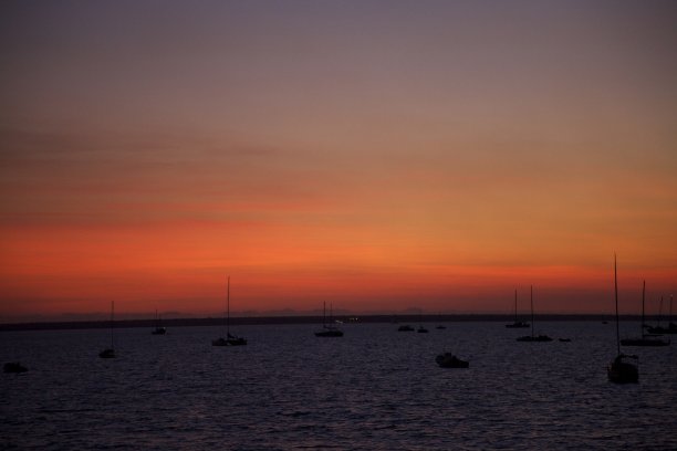 日落时分，澳大利亚达尔文港的帆船图片下载