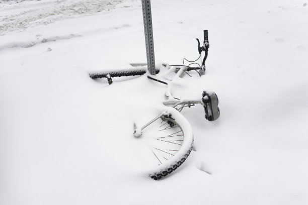 自行车图片下载