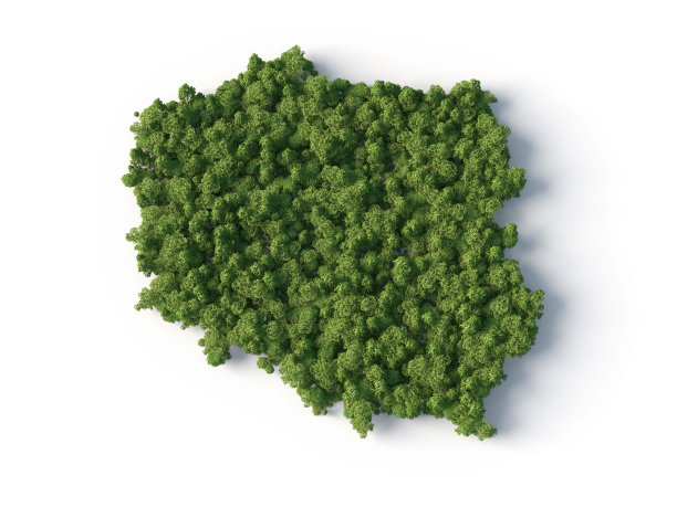 森林在波兰地图形状图片下载