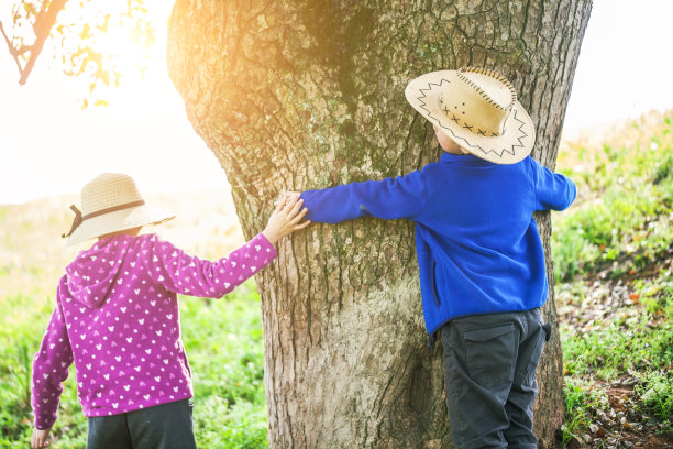 女孩和男孩拥抱一棵大树图片下载