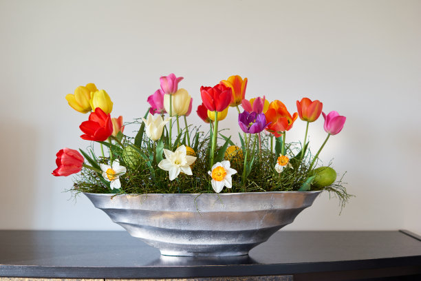 春天的花朵装饰图片下载