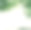 墙图片素材ID：150340768