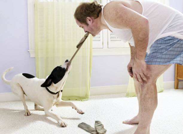 拔河比赛图片下载