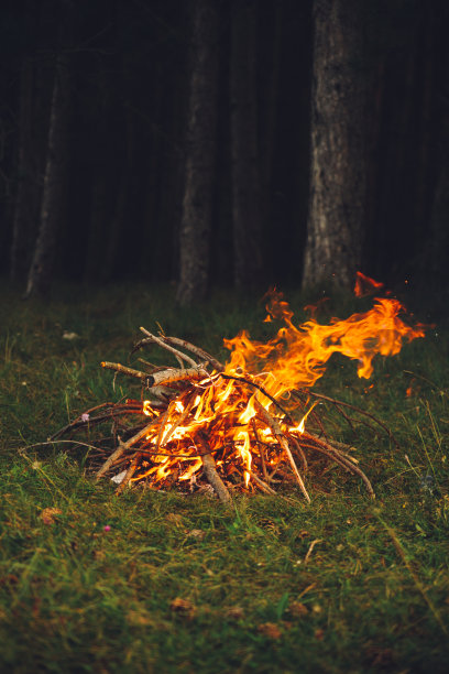 在树林里营火图片下载