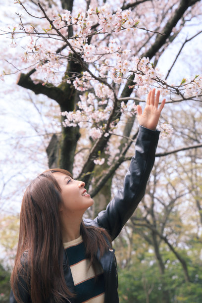 女孩触摸樱花图片下载