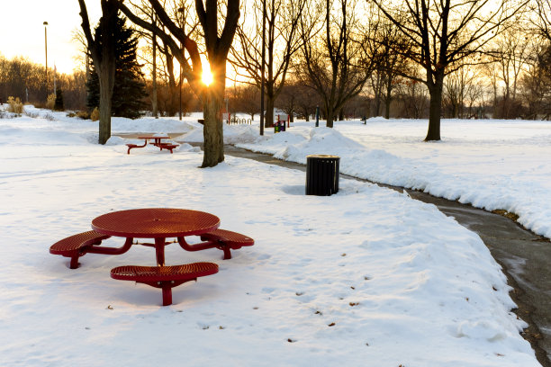 冬天的公园图片下载