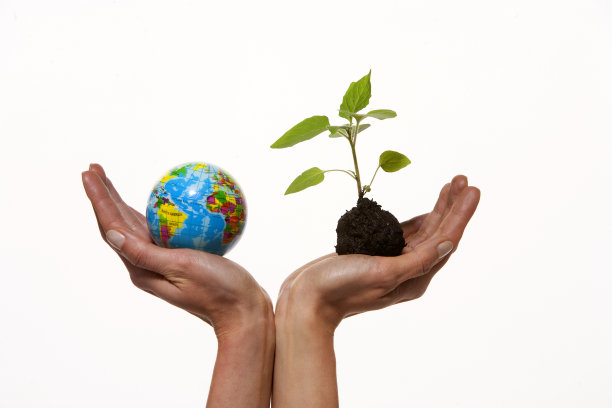地球和芽在人的手中图片下载