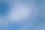 海鸥在高高的天空中飞翔图片下载