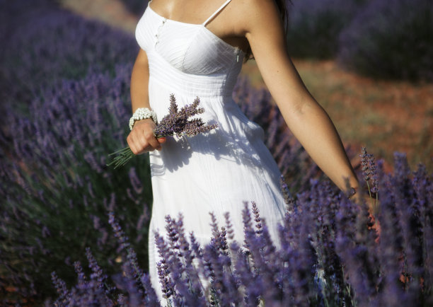 薰衣草地里的女人图片下载