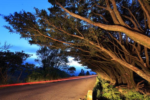 《黄昏的路》图片下载