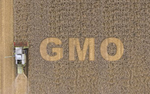 GMO文本字段图片下载