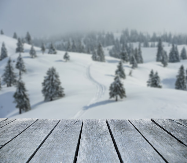 12月的雪图片下载