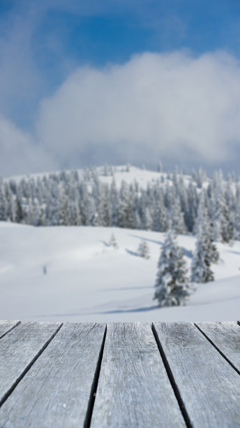12月的雪图片下载