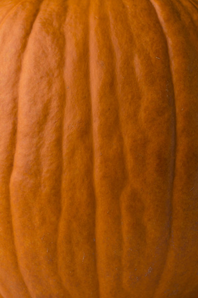 南瓜背景纹理宏观皮肤素材图片