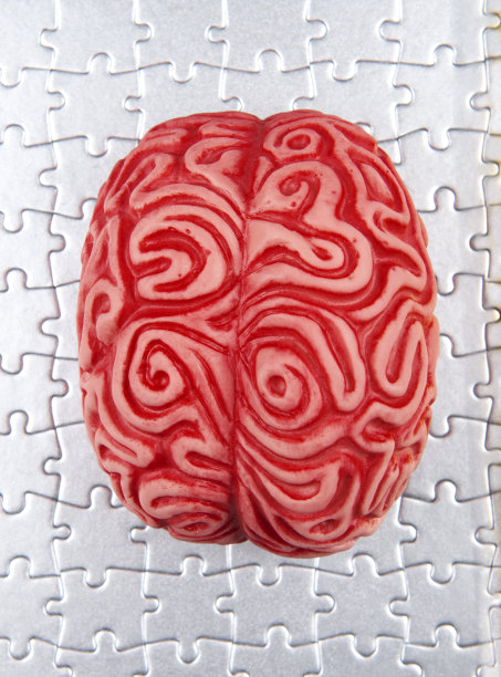 大脑的解决方案图片下载