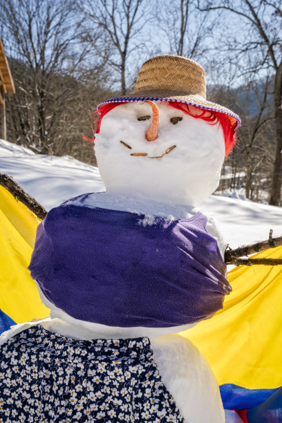 时髦的雪人或女人图片下载