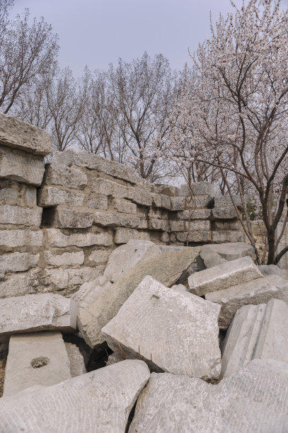 圆明园西楼遗址图片下载