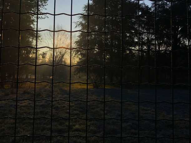 秋天的早晨在公园里图片下载