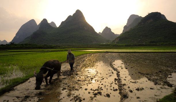 中国农村素材图片