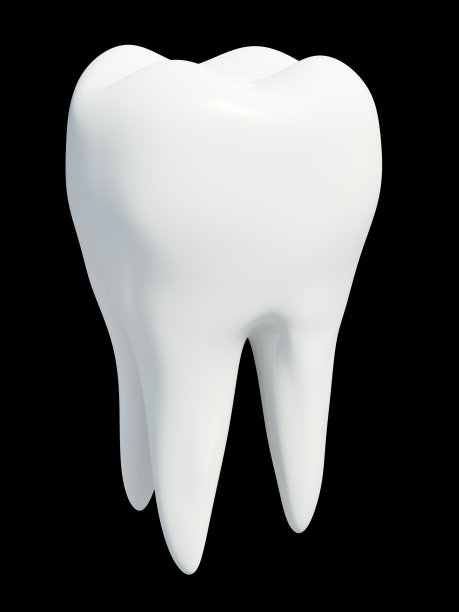 人类的牙齿图片下载