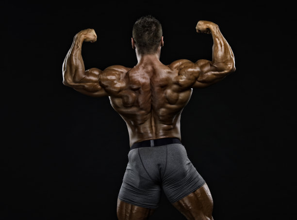 肌肉回来图片下载