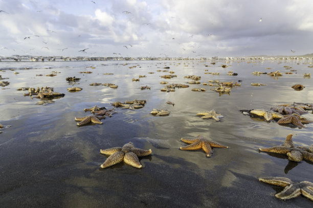 暴风雨过后,图片下载