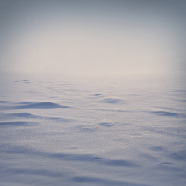 冬天的背景图片下载