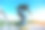 滑板运动员在滑板公园滑板的特写图片下载