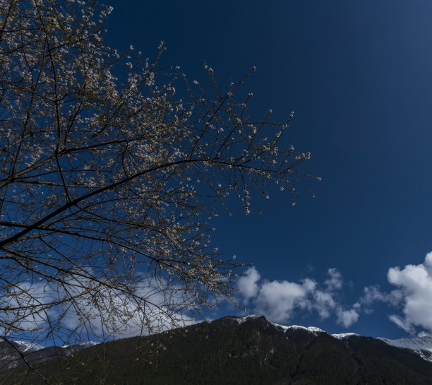 西藏景观，西藏，中国。素材图片