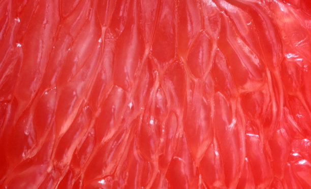 葡萄柚图片下载