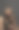迷人的女人与风的头发图片下载