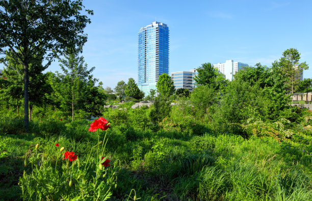 康涅狄格州斯坦福图片下载
