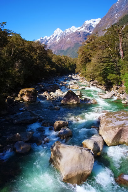 新西兰南岛米尔福德海湾附近的一条河图片下载