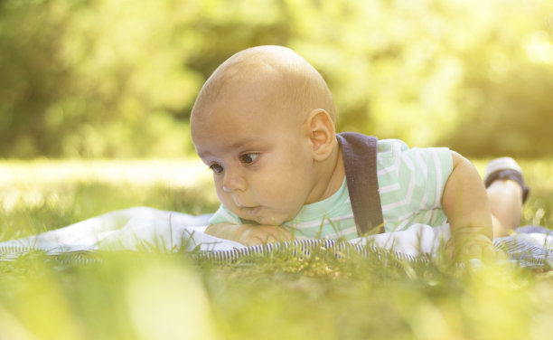 婴儿在草图片下载