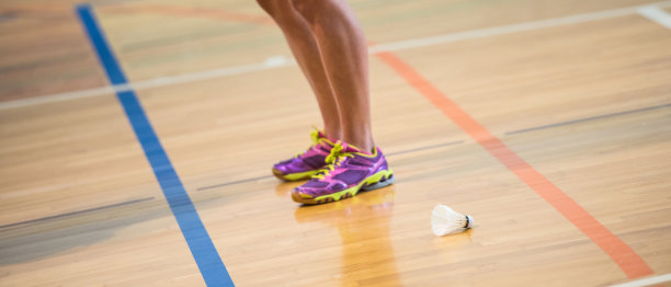 羽毛球图片下载