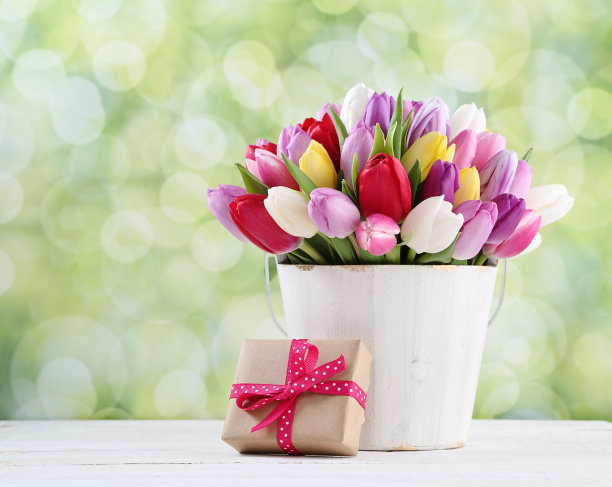 郁金香图片下载