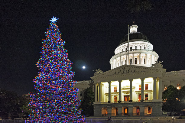 加州国会大厦和圣诞树图片下载