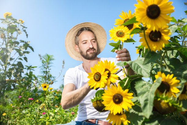 快乐花园工作素材图片