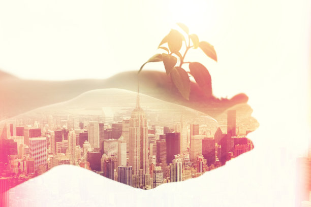 在大城市发展她的事业图片下载