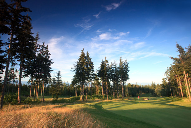 漂亮的高尔夫球场图片下载