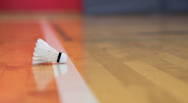 羽毛球场上的羽毛球素材图片